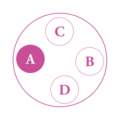 コンパクトだから気軽に楽しめる【小さなアジサイの寄せ植え】リーフプランツとのコラボが素敵！（サムネイル画像4）