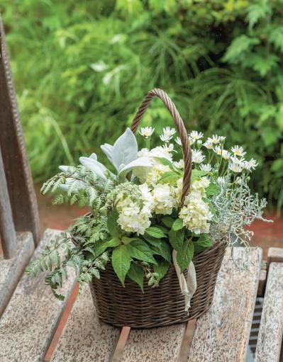 小さなアジサイのポット苗で作る！ホワイトカラーの【フラワーバスケット】プレゼントにも◎（サムネイル画像5）