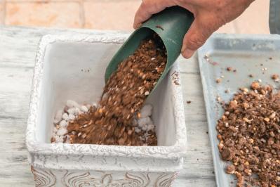 人気ガーデナー土谷ますみさんが作り方を伝授【小さなアジサイの寄せ植え】同系色でまとめてやさしげな印象に（サムネイル画像10）