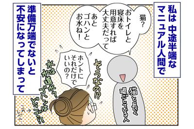 【マンガ・老猫日誌＃72】桃姐を迎える準備〜思い出の老猫日誌・桃姐と小論