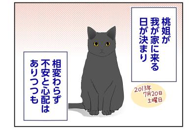 【マンガ・老猫日誌＃75】桃姐をお迎えする前日〜思い出の老猫日誌・桃姐と小論