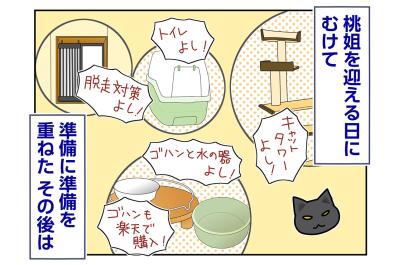 【マンガ・老猫日誌＃73】保護先のブログで桃姐は？〜思い出の老猫日誌・桃姐と小論