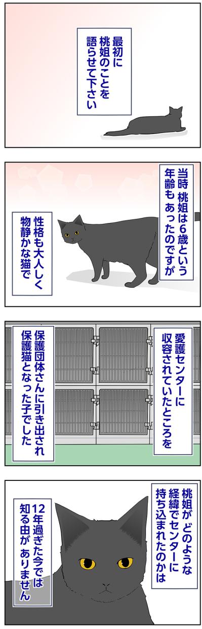 【マンガ・老猫日誌＃69】動物愛護センターでの出会い〜思い出の老猫日誌・桃姐と小論（サムネイル画像2）