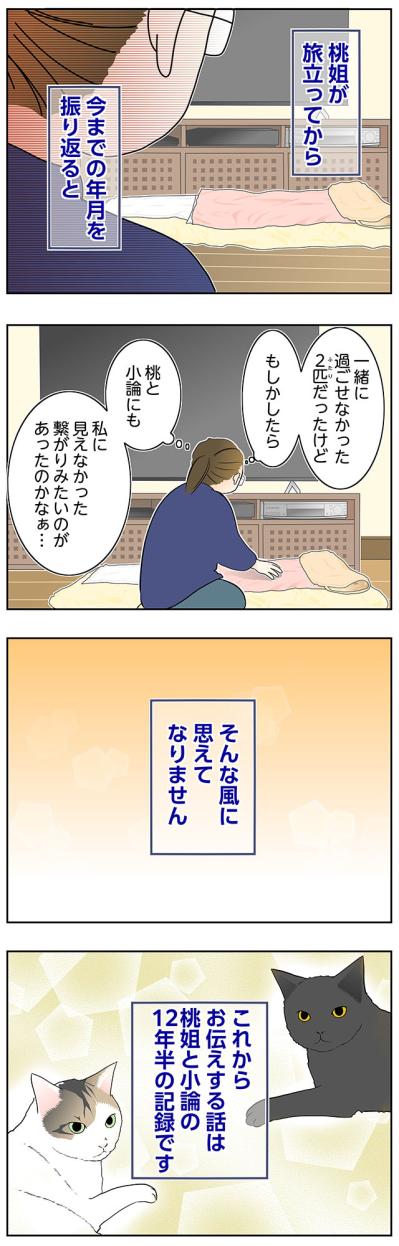 【マンガ・老猫日誌＃68】目には見えない猫たちの絆〜思い出の老猫日誌・桃姐と小論（サムネイル画像3）