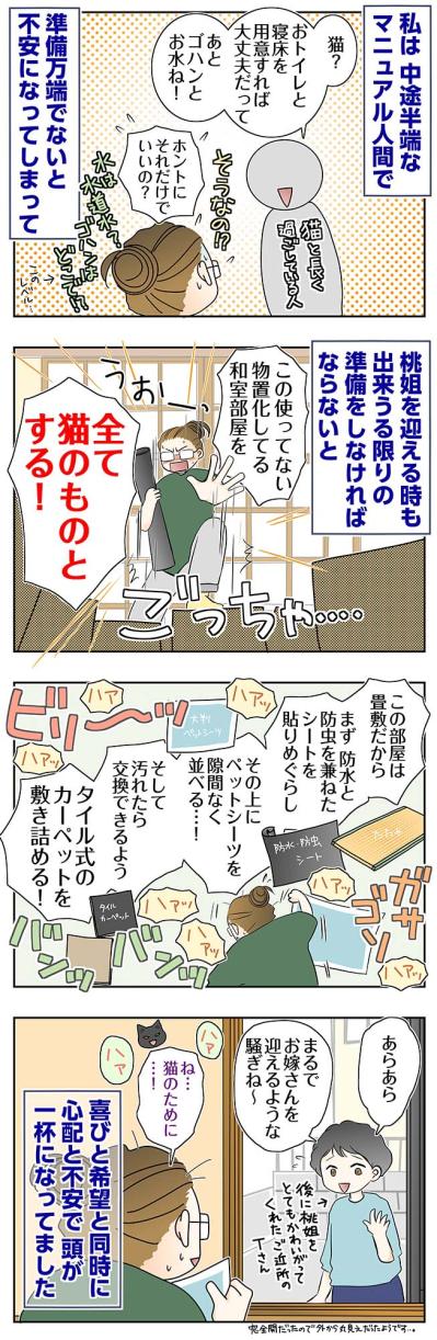 【マンガ・老猫日誌＃72】桃姐を迎える準備〜思い出の老猫日誌・桃姐と小論（サムネイル画像2）