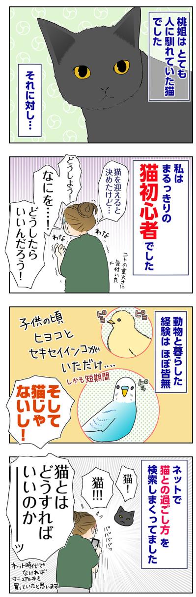 【マンガ・老猫日誌＃71】人になれてきた桃姐と猫初心者の私〜思い出の老猫日誌・桃姐と小論（サムネイル画像2）