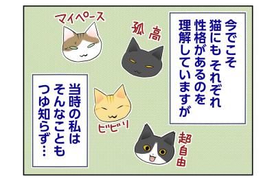 【マンガ・老猫日誌＃74】迎える前の桃姐の性格〜思い出の老猫日誌・桃姐と小論