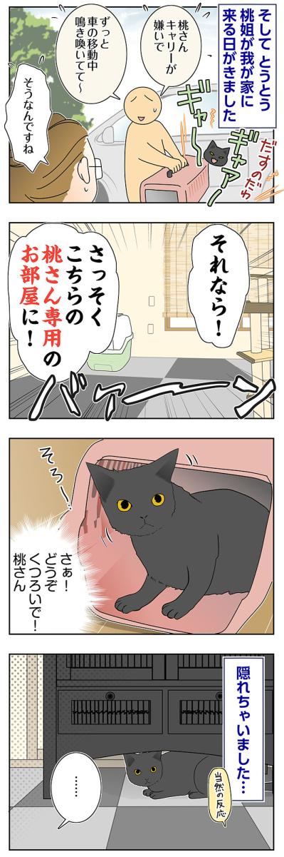 【マンガ・老猫日誌＃77】いよいよお迎え！〜思い出の老猫日誌・桃姐と小論（サムネイル画像2）