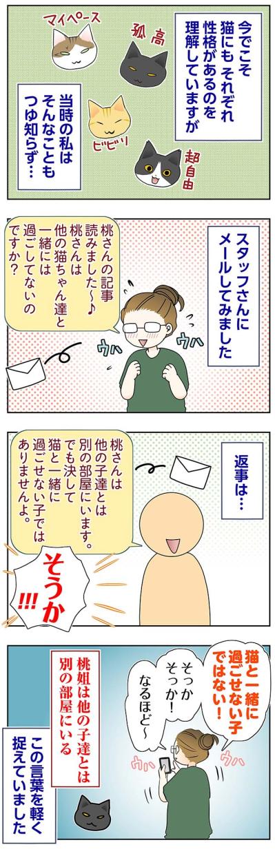 【マンガ・老猫日誌＃74】迎える前の桃姐の性格〜思い出の老猫日誌・桃姐と小論（サムネイル画像2）