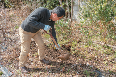 この春から育てたい！【ラベンダー】栽培を成功させる「温・湿・日」の三原則とは？（サムネイル画像6）
