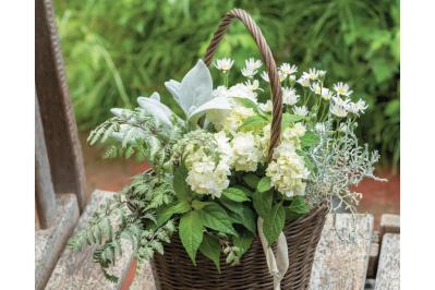 小さなアジサイのポット苗で作る！ホワイトカラーの【フラワーバスケット】プレゼントにも◎