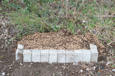 この春から育てたい！【ラベンダー】栽培を成功させる「温・湿・日」の三原則とは？（サムネイル画像14）