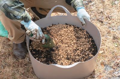 プロが伝授！【ラベンダー】栽培で失敗知らずの環境をつくるには？（サムネイル画像16）