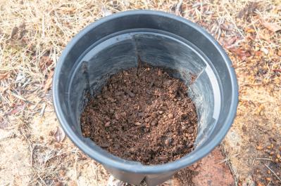 狭いスペースでも育てられる！【ラベンダーの鉢植え】根腐れ予防が成功のカギ（サムネイル画像14）