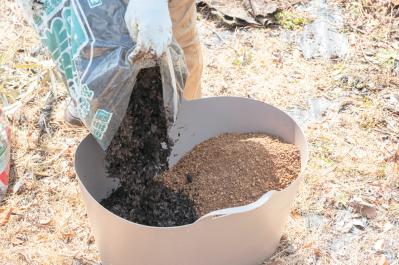 プロが伝授！【ラベンダー】栽培で失敗知らずの環境をつくるには？（サムネイル画像14）