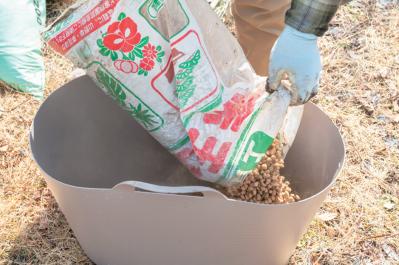 プロが伝授！【ラベンダー】栽培で失敗知らずの環境をつくるには？（サムネイル画像12）