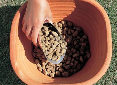 ベランダで始める【春のハーブ栽培入門】プランター・土・肥料の選び方、寄せ植えの方法は？（サムネイル画像10）