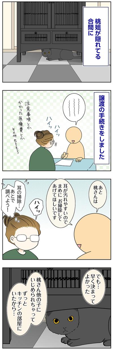 【マンガ・老猫日誌＃78】桃姐はいじめにあっていた？〜思い出の老猫日誌・桃姐と小論（サムネイル画像2）