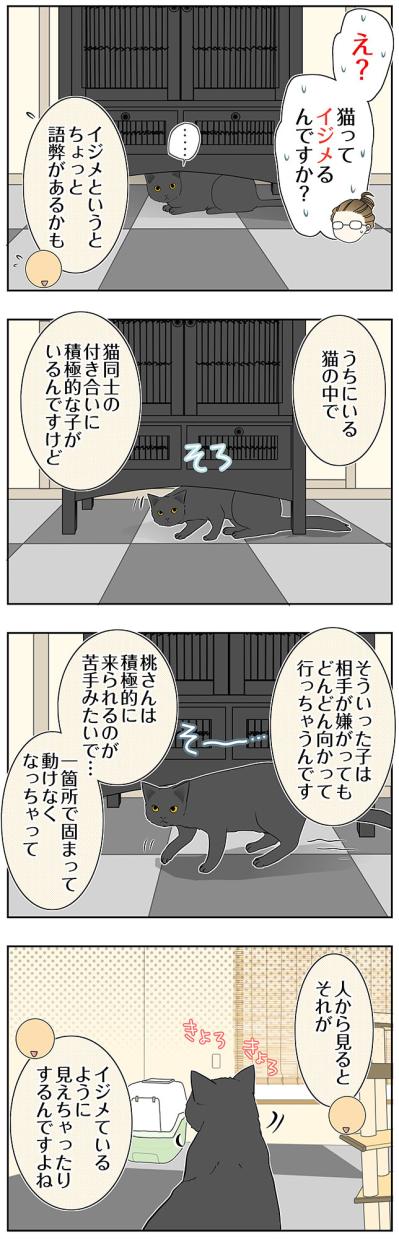 【マンガ・老猫日誌＃79】保護先での桃姐の様子〜思い出の老猫日誌・桃姐と小論（サムネイル画像2）