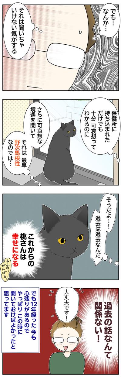 【マンガ・老猫日誌＃82】桃姐の過去を聞かなかったワケ〜思い出の老猫日誌・桃姐と小論（サムネイル画像2）