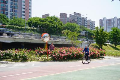 韓国最大級「中浪ソウル バラ祭り」を現地レポート！1000万本のバラと5.45kmの絶景トンネルに感動（サムネイル画像9）