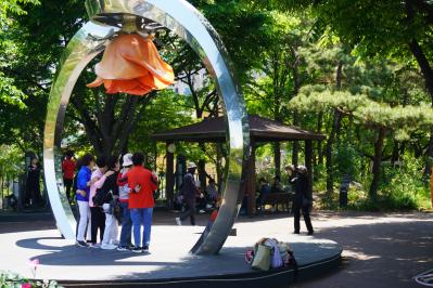 韓国最大級「中浪ソウル バラ祭り」を現地レポート！1000万本のバラと5.45kmの絶景トンネルに感動（サムネイル画像18）