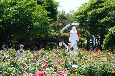 韓国最大級「中浪ソウル バラ祭り」を現地レポート！1000万本のバラと5.45kmの絶景トンネルに感動（サムネイル画像16）