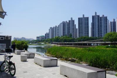 韓国最大級「中浪ソウル バラ祭り」を現地レポート！1000万本のバラと5.45kmの絶景トンネルに感動（サムネイル画像10）