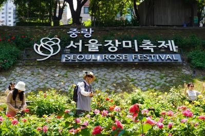 韓国最大級「中浪ソウル バラ祭り」を現地レポート！1000万本のバラと5.45kmの絶景トンネルに感動（サムネイル画像5）