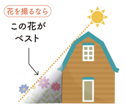 花写真家・今井秀治さんが伝授！【スマホで花をきれいに撮るコツ】とは？（サムネイル画像4）