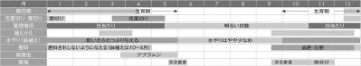 【ガーデニングQ&A】クリスマスローズが酷暑で枯れてしまう。夏越しのコツは？（サムネイル画像4）