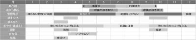 【ガーデニングQ&A】あっという間に増えるアルストロメリア。コンパクトに育てる方法は？（サムネイル画像4）