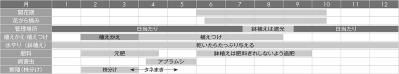 【ガーデニングQ&A】キキョウの花を翌年もきれいに咲かせるには？（サムネイル画像5）