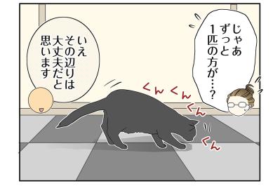 【マンガ・老猫日誌＃80】桃姐がなついていたのは？〜思い出の老猫日誌・桃姐と小論