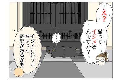 【マンガ・老猫日誌＃79】保護先での桃姐の様子〜思い出の老猫日誌・桃姐と小論