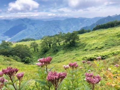 庭・散歩・旅先で出会った花をパチリ。読者モデルの「撮ってよかった」花写真とエピソード（サムネイル画像16）