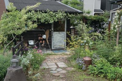 猛暑と強風に負けない庭づくりへ。兼岡美香さんが目指すグリーン中心の【ローメンテナンスガーデン】実例（サムネイル画像9）