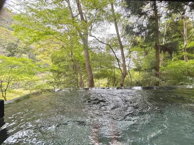 【50代からの箱根】温泉、美食、静寂に癒やされる1泊2日（サムネイル画像6）