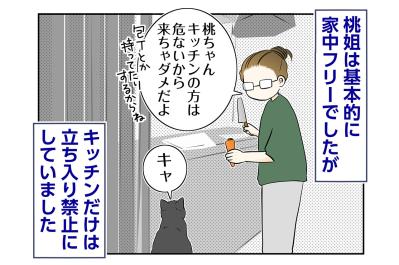 【マンガ・老猫日誌＃86】桃姐、人の言葉がわかるの？〜思い出の老猫日誌・桃姐と小論