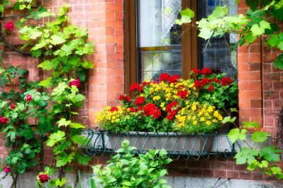 花を並べてもまとまらない…を解決！「高低差」で庭・ベランダを立体的に見せる5つのコツ（サムネイル画像24）