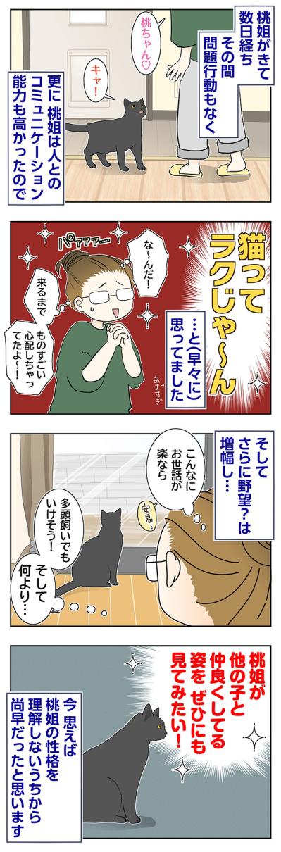 【マンガ・老猫日誌＃88】家に馴染むのが早かった桃姐〜思い出の老猫日誌・桃姐と小論（サムネイル画像2）