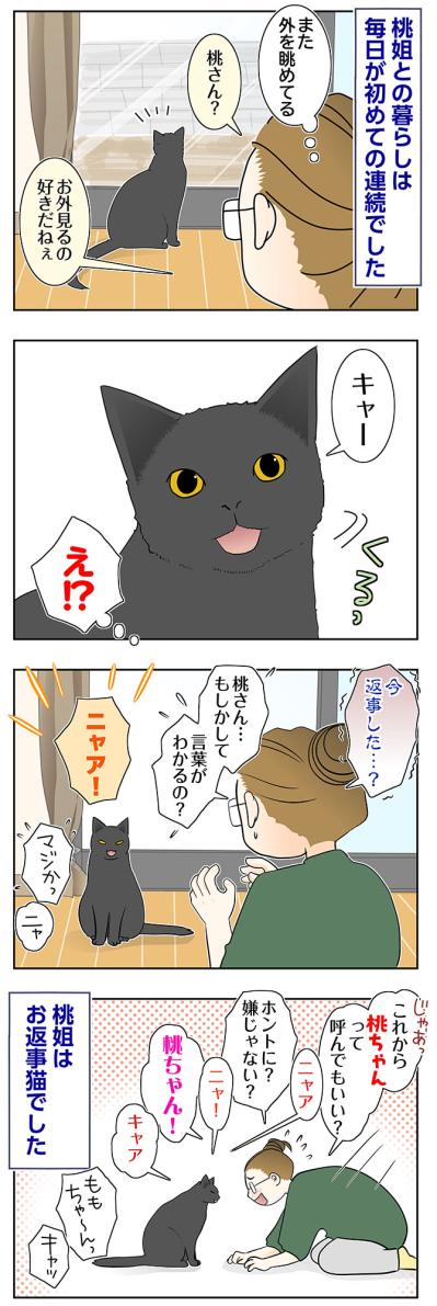 【マンガ・老猫日誌＃85】かわいい！お返事猫・桃姐〜思い出の老猫日誌・桃姐と小論（サムネイル画像2）