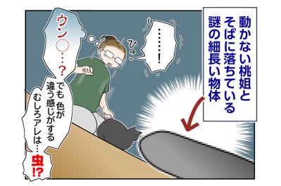【マンガ・老猫日誌＃94】桃姐のそばにあった意外なもの〜思い出の老猫日誌・桃姐と小論