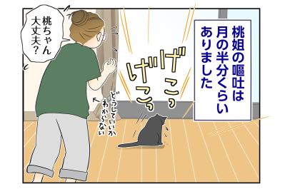 【マンガ・老猫日誌＃96】桃姐の嘔吐が止まらない〜思い出の老猫日誌・桃姐と小論