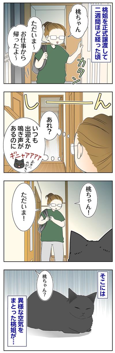 【マンガ・老猫日誌＃92】ある日。異様な空気をまとった桃姐〜思い出の老猫日誌・桃姐と小論（サムネイル画像2）