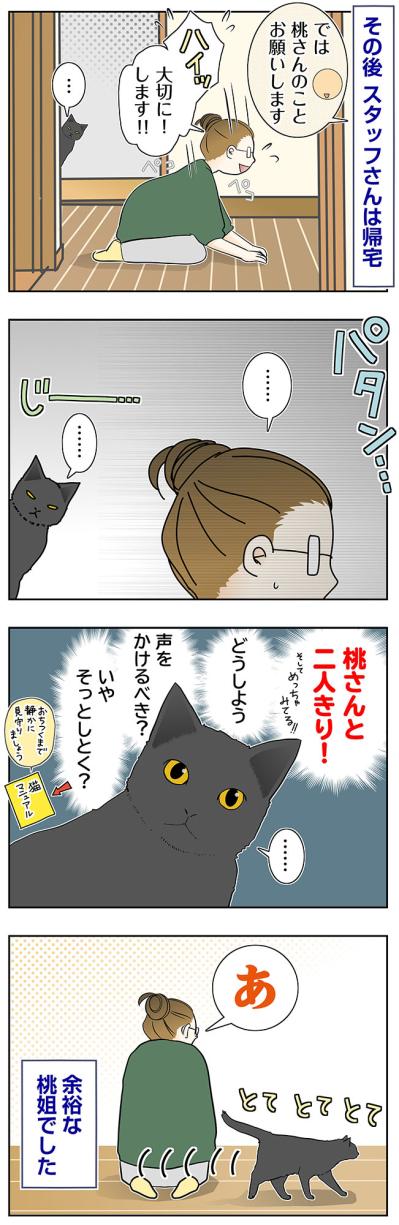 【マンガ・老猫日誌＃83】桃さんと2人？桃姐の意外な反応は？〜思い出の老猫日誌・桃姐と小論（サムネイル画像2）