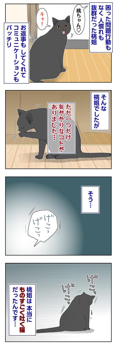 【マンガ・老猫日誌＃90】一つだけ気がかりだったコト〜思い出の老猫日誌・桃姐と小論（サムネイル画像2）