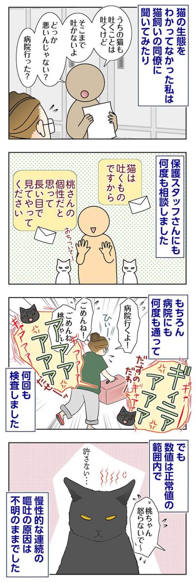 【マンガ・老猫日誌＃97】吐いてばかりの桃姐…病院にも相談〜思い出の老猫日誌・桃姐と小論（サムネイル画像2）