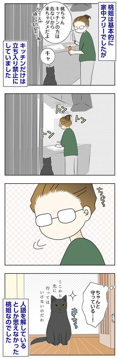 【マンガ・老猫日誌＃86】桃姐、人の言葉がわかるの？〜思い出の老猫日誌・桃姐と小論（サムネイル画像2）