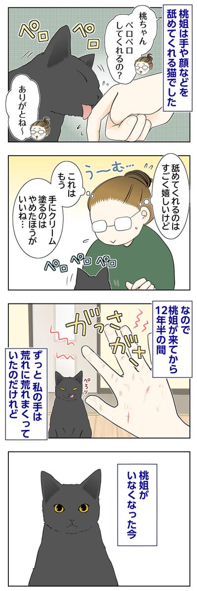 【マンガ・老猫日誌＃87】手荒れがいつまでも治らなかった理由〜思い出の老猫日誌・桃姐と小論（サムネイル画像2）
